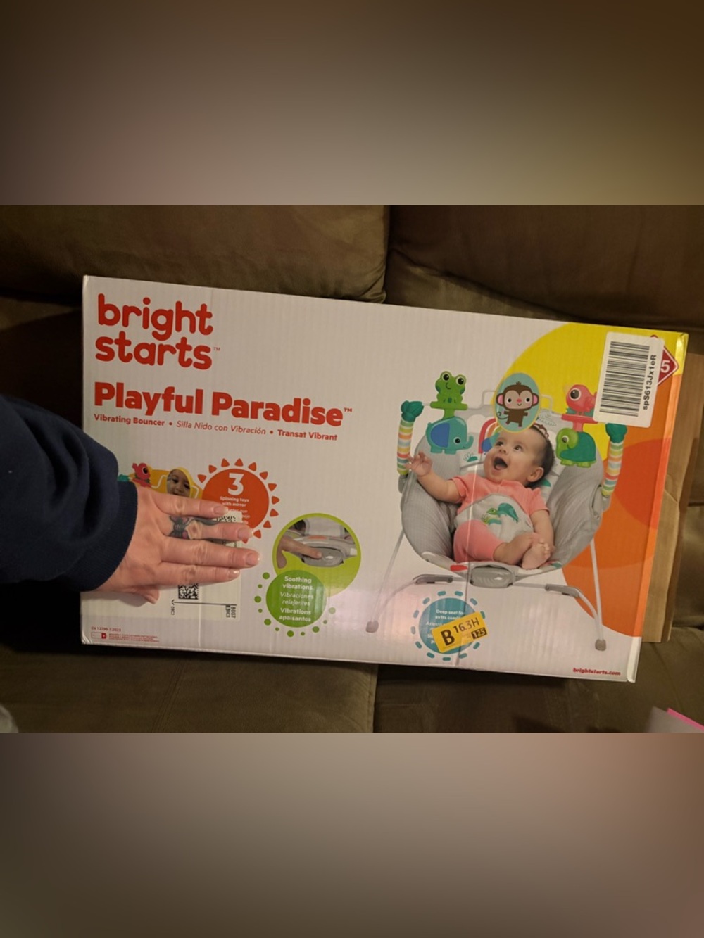 Fisher-Price Playful Paradise Vibrating Bouncer - Gray